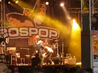 Bospop 2011 26