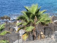 1609-Vakantie-Garachico-Tenerife-018