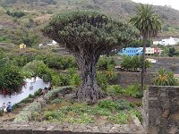 1609-Vakantie-Garachico-Tenerife-363